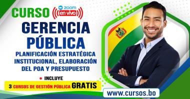 Curso Gerencia Pública, Planificación Estratégica  Institucional PEI , elaboración del POA y presupuesto